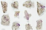 Lot: Veracruz Amethyst Clusters - Pieces #80629-2